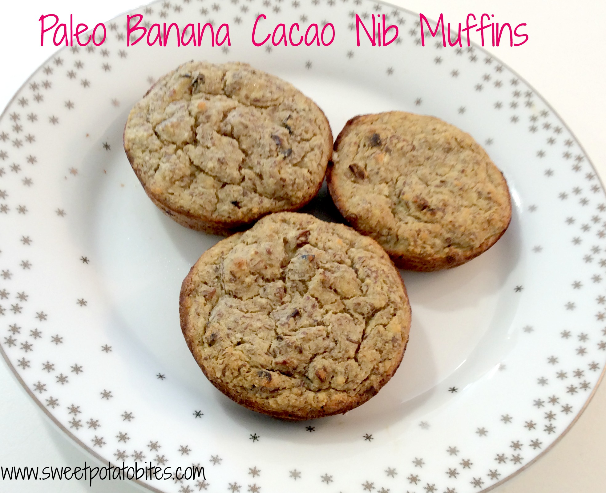 Paleo Banana Cacao Nib Muffins 