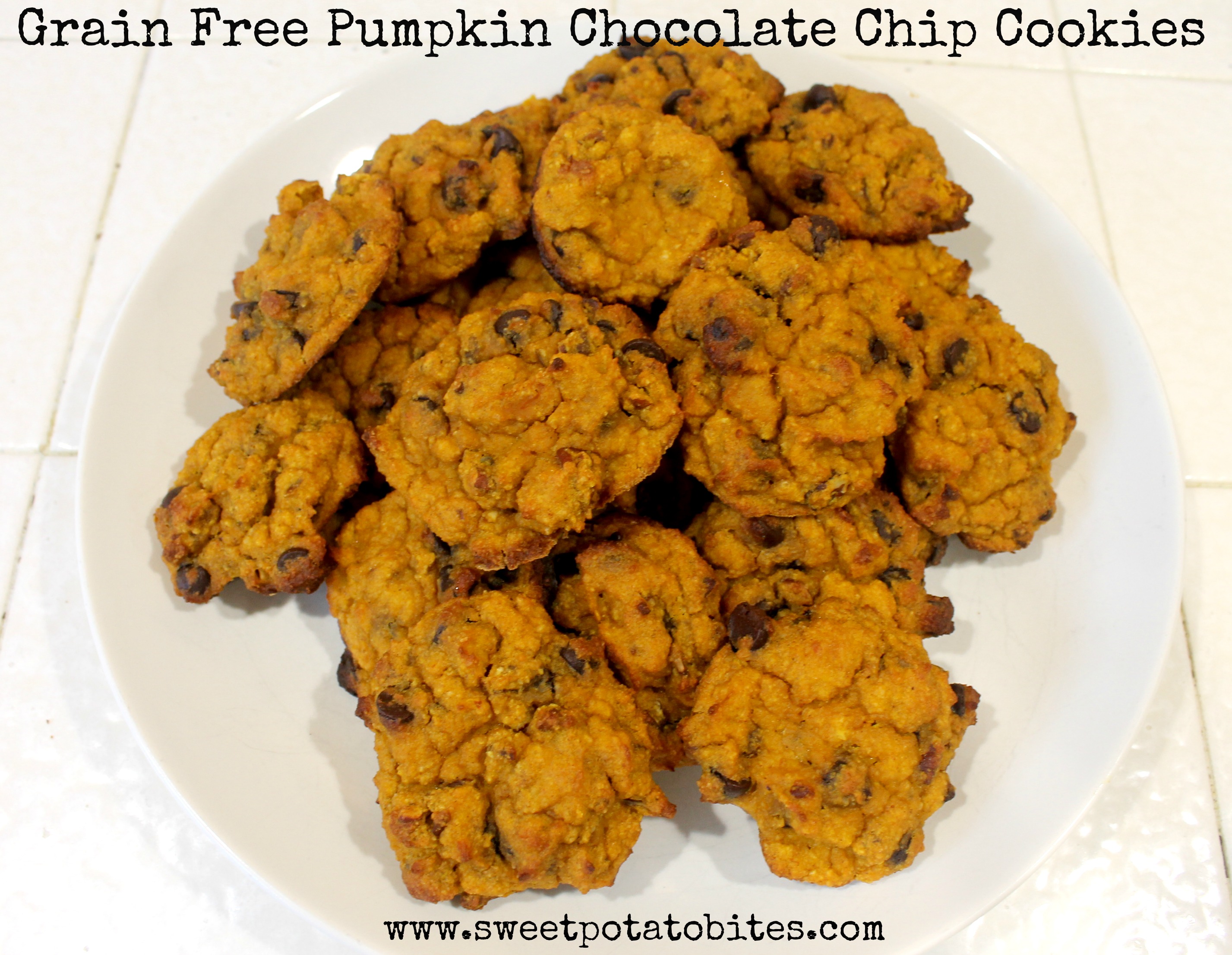grain free pumpkin chocolate chip cookies pin